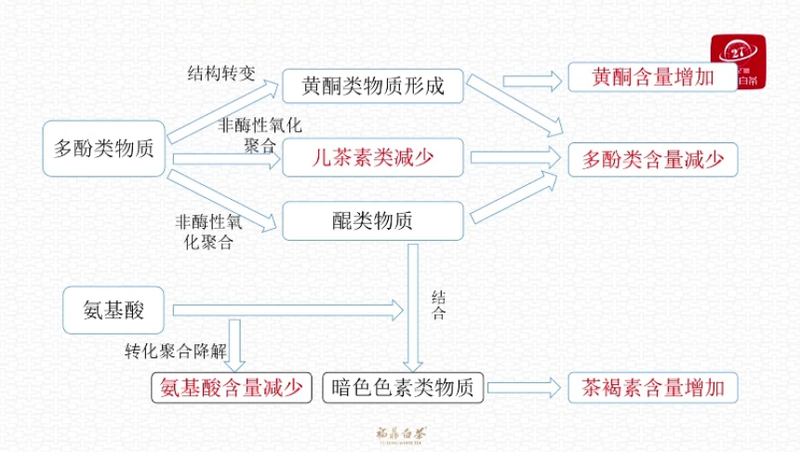 如何存出好茶？家庭式白茶储存标准解读来了！