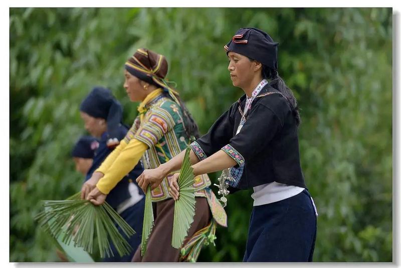 哈尼茶人一梦，流传千年的美好传奇