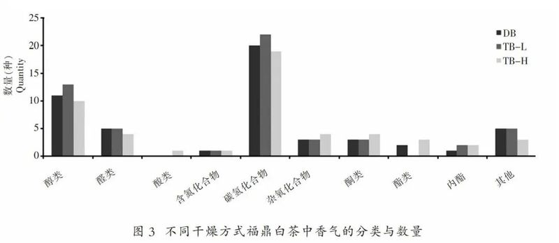 工艺装备：电焙与炭焙干燥对福鼎白茶品质的影响