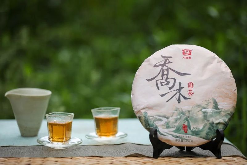 乔木圆茶主题茶席： 我们是如何将“深山万木春”的意境具象化的