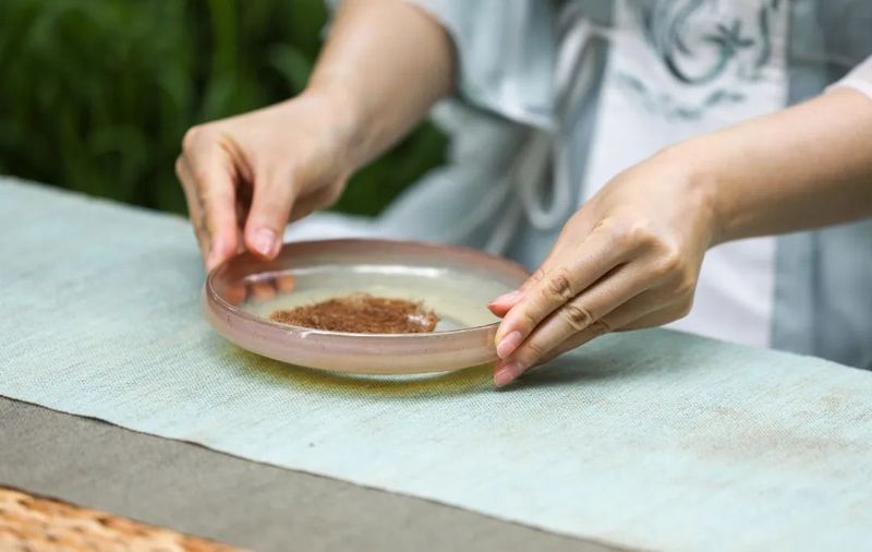 乔木圆茶主题茶席： 我们是如何将“深山万木春”的意境具象化的