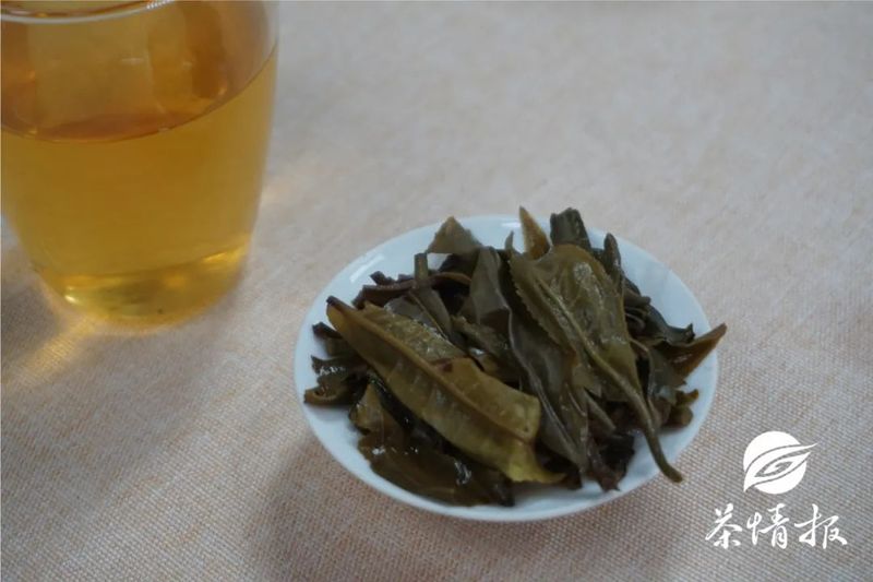 熬夜喝什么茶？世界杯茶饮养生攻略