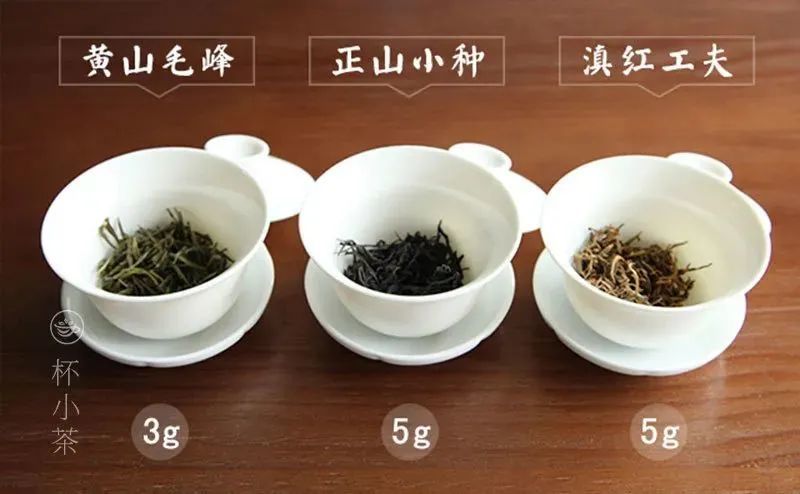 一泡茶该放多少茶叶？