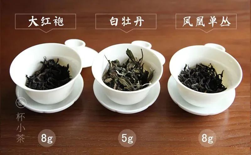 一泡茶该放多少茶叶？