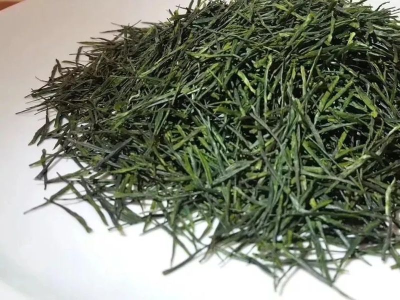 湖北恩施玉露——惟一蒸的历史名茶