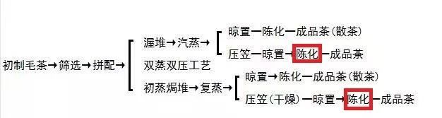 弄懂六堡茶的陈化日期和生产日期