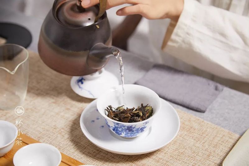 洪普号喝茶小知识第17期：越好的茶叶，越耐泡？