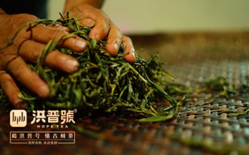 洪普号喝茶小知识第17期：越好的茶叶，越耐泡？