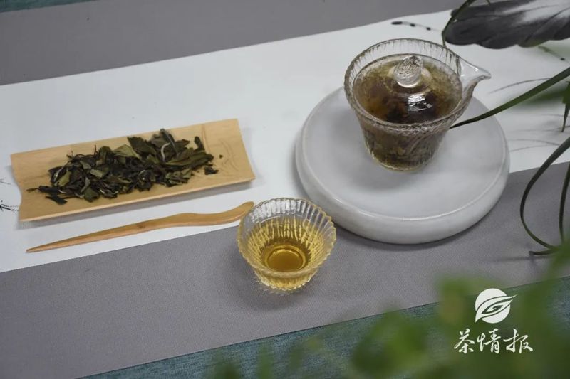 你知道六大茶类香型吗？不同的茶有不同的香，学懂茶香！