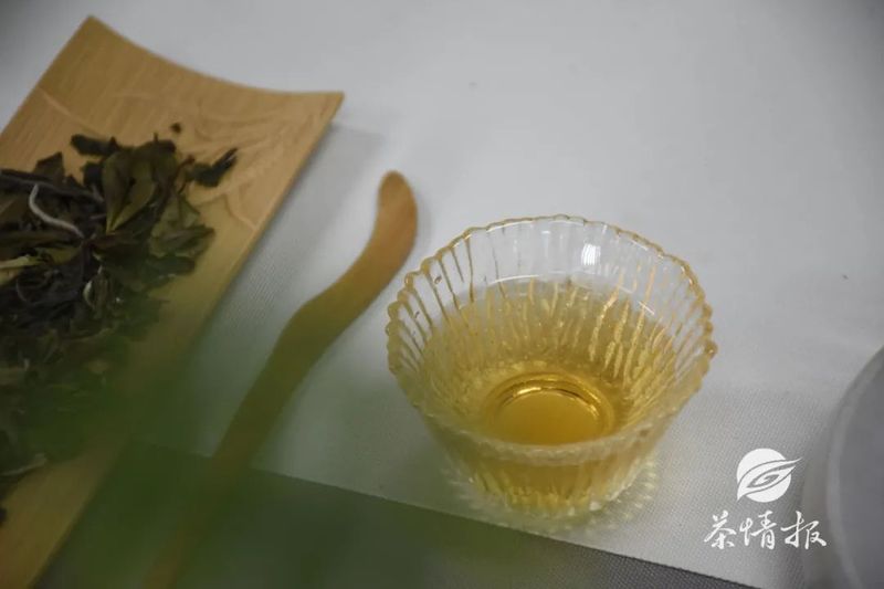 你知道六大茶类香型吗？不同的茶有不同的香，学懂茶香！