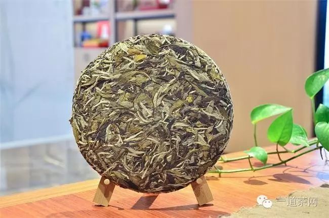 存茶秘籍：白茶怎样存放才能成为宝贝？