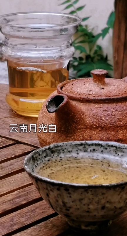 欧洲茶语 ，布拉格茶文化节见闻（二）：金鸡茶室