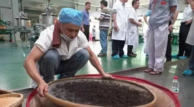 茶叶加工赛提前看，制茶环节那么多，我该重视哪一个？