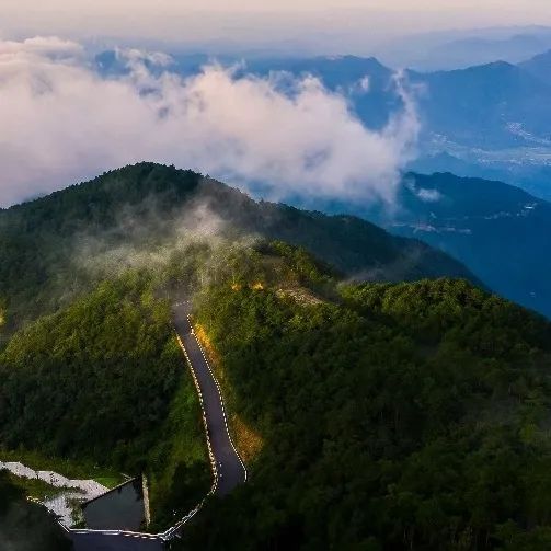 湖北春茶地图：在山与茶中品味湖北春色