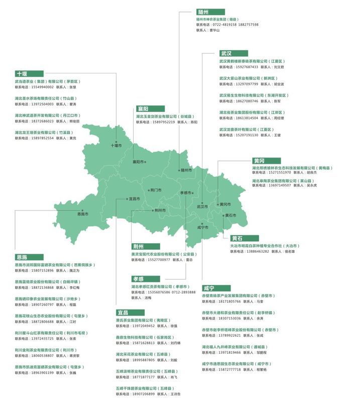 湖北春茶地图：在山与茶中品味湖北春色