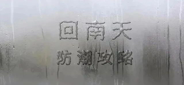 备战回南天，古人告诉你如何存茶