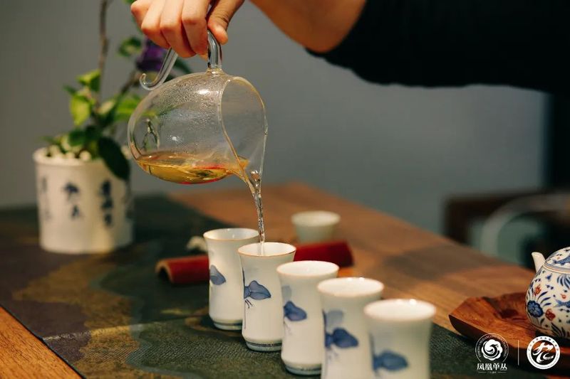 一文读懂“茶的五感”，打开品茶之门