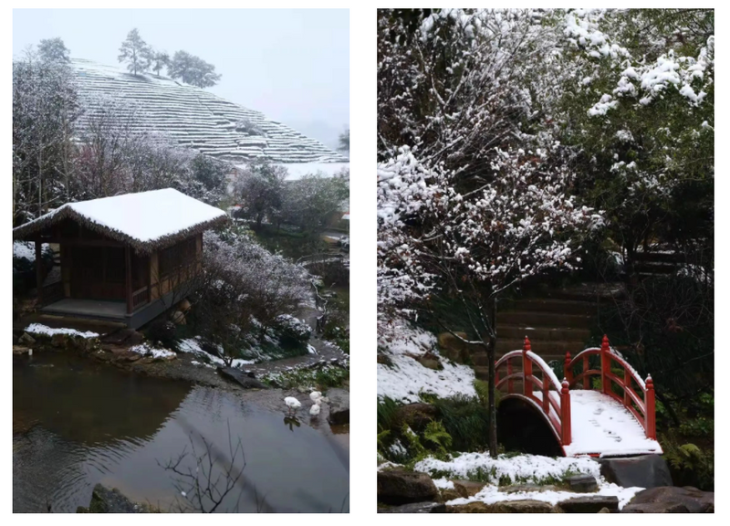 天寒炉暖、烹雪煎茶，领略古人的冬日风雅