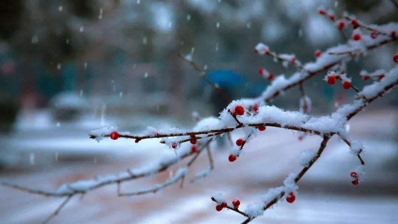 天寒炉暖、烹雪煎茶，领略古人的冬日风雅