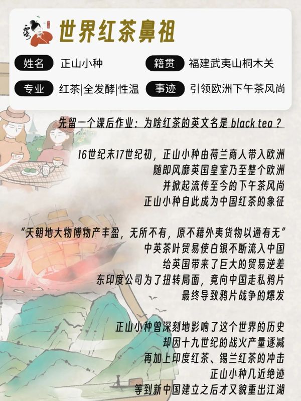 走进桐木，探寻红茶之源——武夷红茶