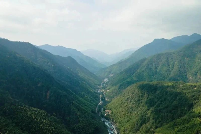 走进桐木，探寻红茶之源——武夷红茶