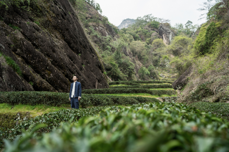 “茶”如何造网红？打造茶农的专属IP！