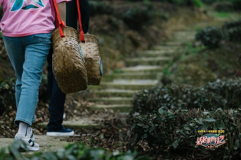 丁以寿 ——名扬中外的安徽茶叶