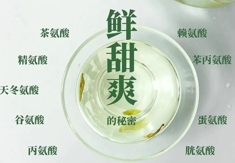 茶之五味，从何而来