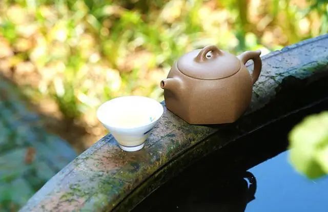 中国六大茶类代表茗茶，都需要配什么壶？