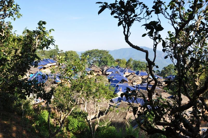 雷平阳：序《新八大茶山》