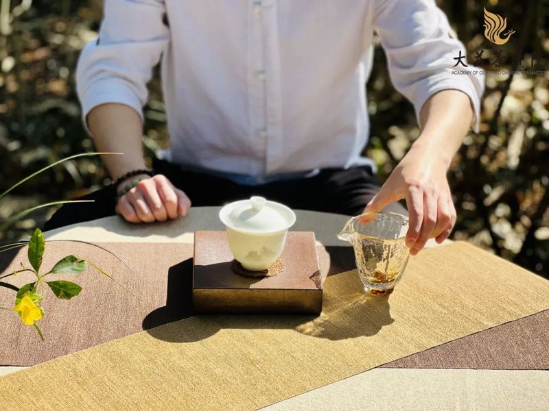 惊蛰茶席  茶园里品味普洱的陈香醇厚