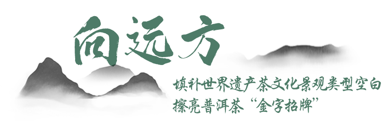 你自向远方——景迈山申遗之路系列报道③