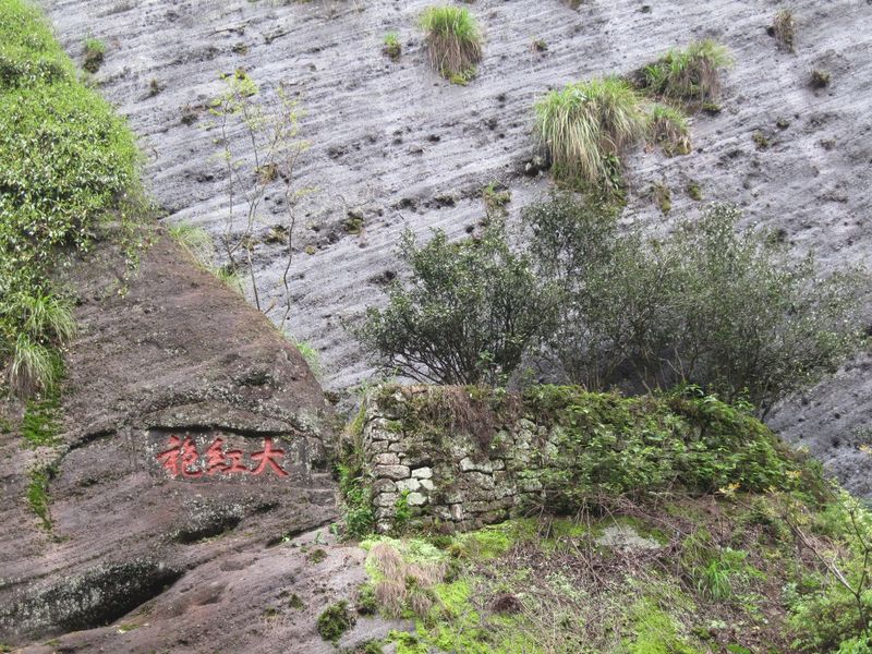 人类非物质文化遗产 中国传统制茶技艺 青茶篇——武夷岩茶（大红袍）