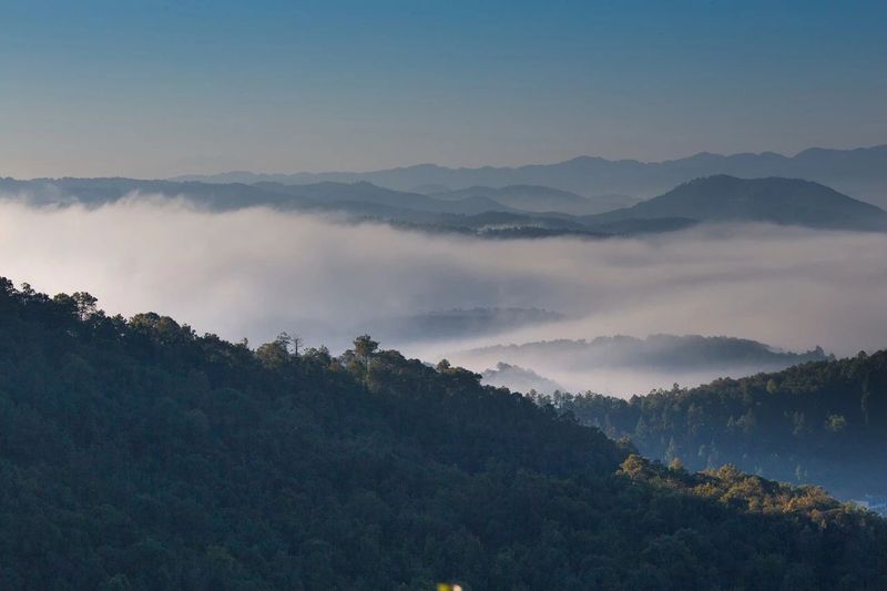 临沧产区必喝山头都在这！一文了解临沧茶区