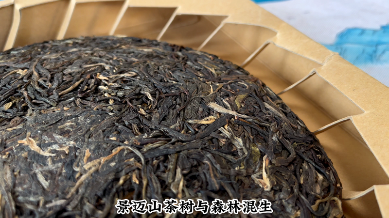 景迈山普洱茶怎么冲泡好喝呢