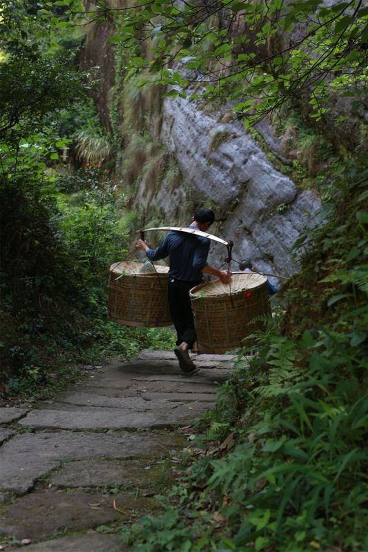 这里丹霞比武夷山还多，也产岩茶！