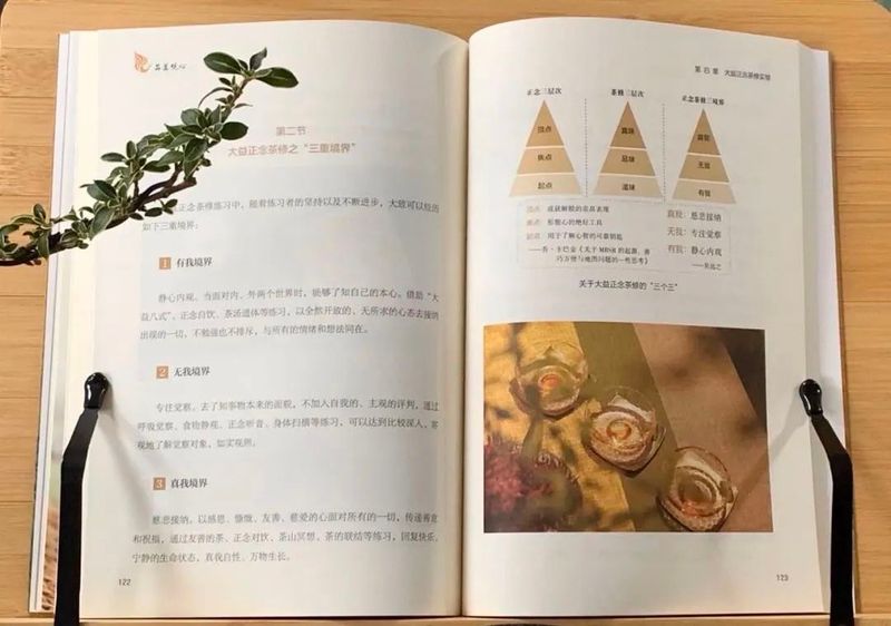 以一杯茶疗愈身心   大益正念茶修指导用书《品茗观心》正式出版