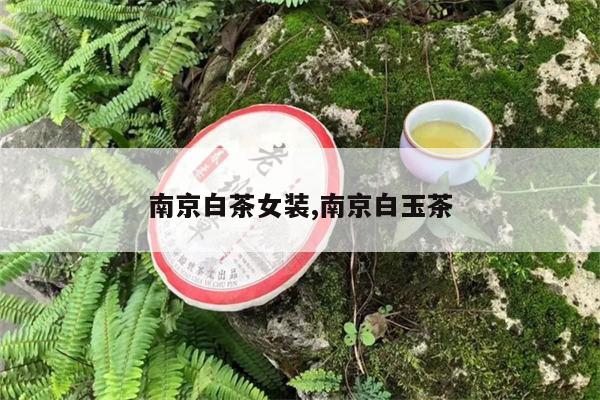 南京白茶女装,南京白玉茶-焱起茶业