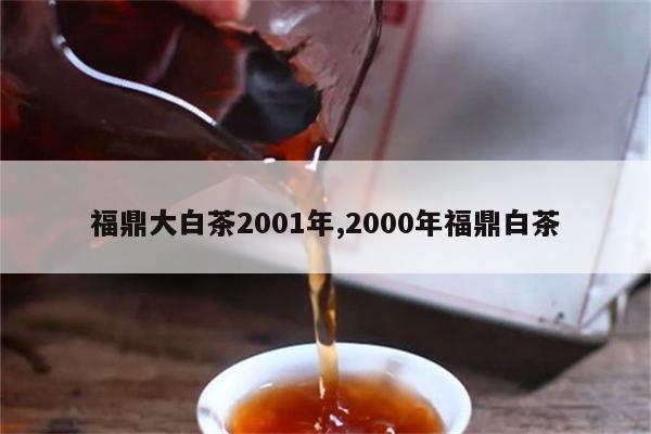 福建省 福鼎大白茶 2001年