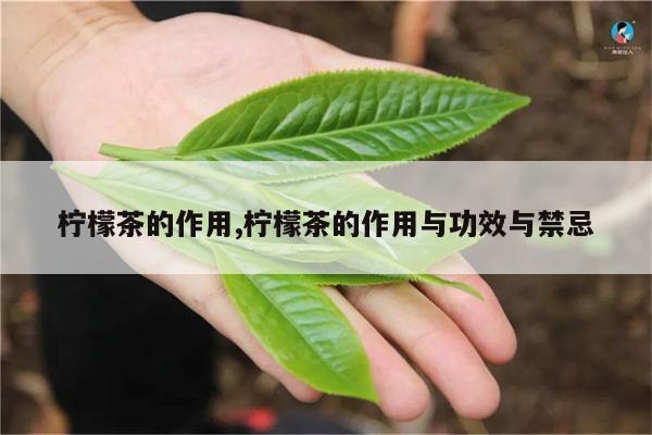 柠檬茶的作用,柠檬茶的作用与功效与禁忌