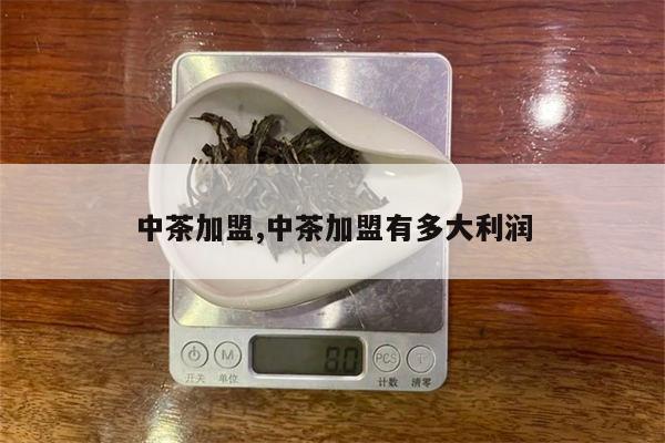 中茶加盟,中茶加盟有多大利润