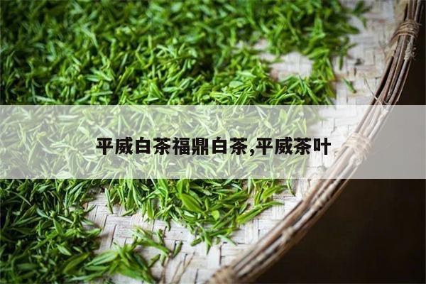 平威白茶福鼎白茶,平威茶叶