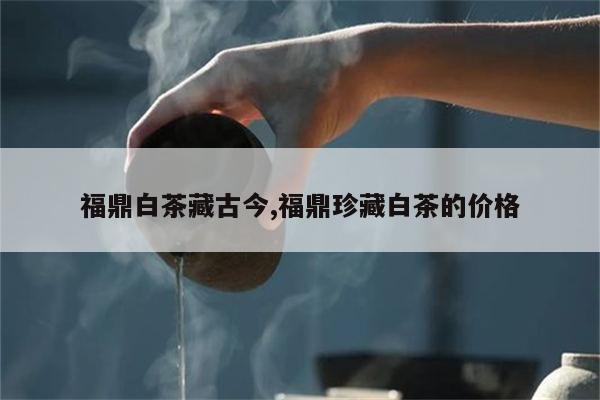 福鼎白茶藏古今,福鼎珍藏白茶的价格